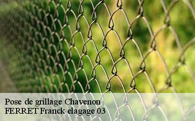 Pose de grillage  chavenon-03440 FERRET Franck elagage 03