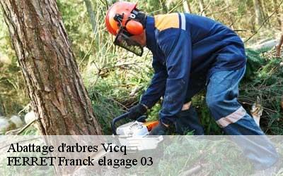 Abattage d'arbres  vicq-03450 FERRET Franck elagage 03