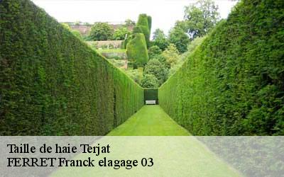 Taille de haie  terjat-03420 FERRET Franck elagage 03