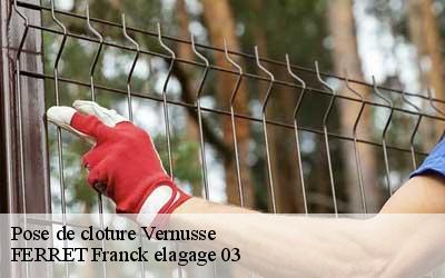 Pose de cloture  vernusse-03390 FERRET Franck elagage 03
