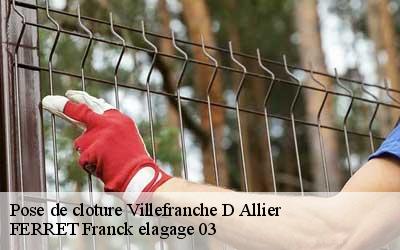 Pose de cloture  villefranche-d-allier-03430 FERRET Franck elagage 03