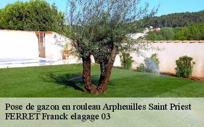 Pose de gazon en rouleau  arpheuilles-saint-priest-03420 FERRET Franck elagage 03