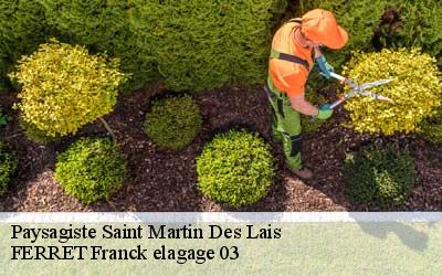 Paysagiste  saint-martin-des-lais-03230 FERRET Franck elagage 03